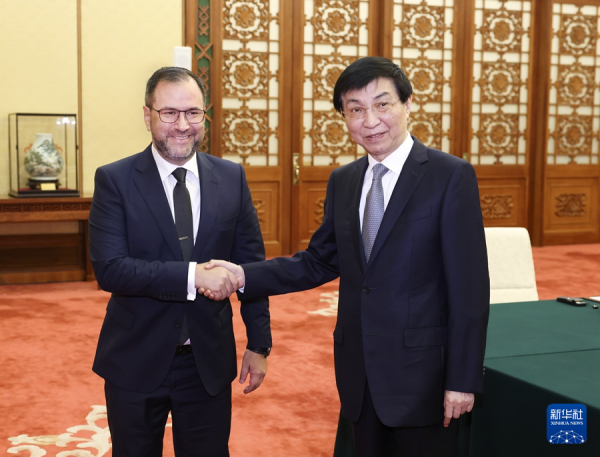 王沪宁.jpg